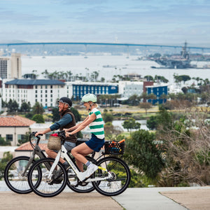 Dairyman Basket MIK - Escondido eBike Super Shop