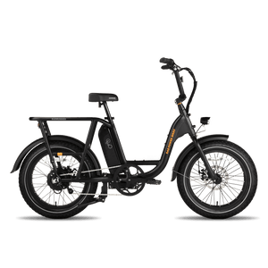 RadRunner Full Fenders - Escondido eBike Super Shop eBike Store in North County San Diego