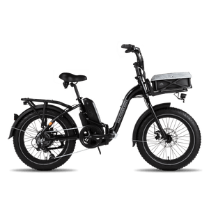 Pet Basket Liner - Escondido eBike Super Shop eBike Store in North County San Diego