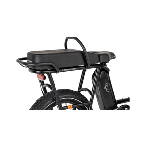 RadRunner Passenger Bars - Escondido eBike Super Shop eBike Store in North County San Diego