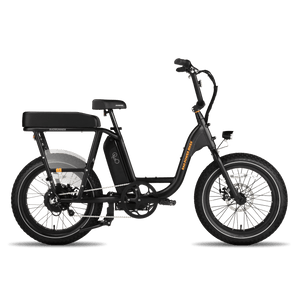 RadRunner Passenger Package - Escondido eBike Super Shop eBike Store in North County San Diego