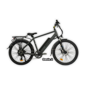 eBike Revi Oasis.2 electric bike in box, color antracit, product image