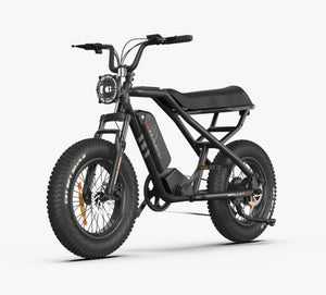 eMOTO RAEV Bullet X Emoto eBike 750W electric bike, side view, black frame, thick tires, modern design, outdoor background