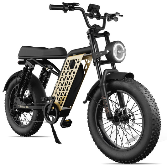 eBike Eclio Vetus 1 - Obsidian Gold - Ready to Ride