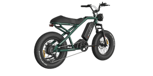 eMOTO RAEV Bullet SE Electric e-Moto Style eBike-Moto 500 w Electric Pit Bike Product Image 432