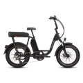 RadRunner™ Plus Electric Cargo Utility Bike