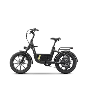 Segway Muxi Pro electric scooter in anthracite color, side view, on a white background