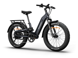 Side view of the Himiway D5 2.0 ST eBike in space grey, showcasing its step-through frame, battery compartment, and wide tires against a plain background.