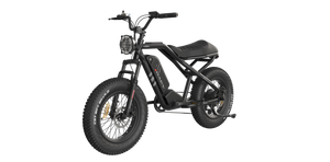 eMOTO RAEV Bullet SE Electric e-Moto Style eBike-Moto 500 w Electric Pit Bike Product Image 65