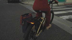 Green Blix Sol X Step Over electric beach cruiser eBike with 750W motor, shown in a product image.