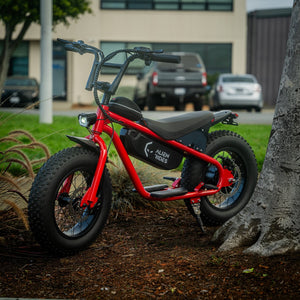 AR Atom 1000 Watt Mini Electric Bicycle - sku-44251933704446 eBike Super Shop