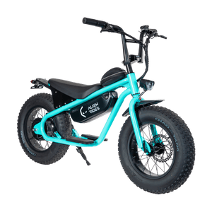 AR Atom 1000 Watt Mini Electric Bicycle - sku-45569650884862 eBike Super Shop