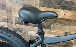 BlackRock Island Warrior Electric Bike 750W – Fat Tire Mountain Ebike - Mountain eBike - REVI|BLACK|3017 eBike Super Shop