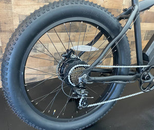 BlackRock Island Warrior Electric Bike 750W – Fat Tire Mountain Ebike - Mountain eBike - REVI|BLACK|3017 eBike Super Shop