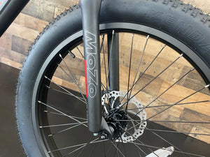 BlackRock Island Warrior Electric Bike 750W – Fat Tire Mountain Ebike - Mountain eBike - REVI|BLACK|3017 eBike Super Shop