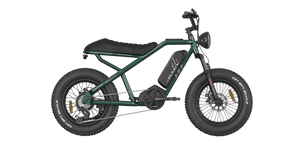 Bullet - eBikes - RAEV - BLV2 - G - 2 eBike Super Shop
