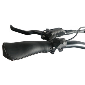 Coastal Cruiser 52v 20 Thru 750W Step Thru Ebike 20x4 Fat Tire Mini Electric Beach Cruiser - Mini eBike - COAST|MINI|GUNME|0026 eBike Super Shop