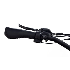 Coastal Cruiser 52v 24 Over 750W Step Over Ebike 24x3 Fat Tire Fat Tire Cruiser - Fat Tire eBike - COAST|FATT|SAND|0011 eBike Super Shop