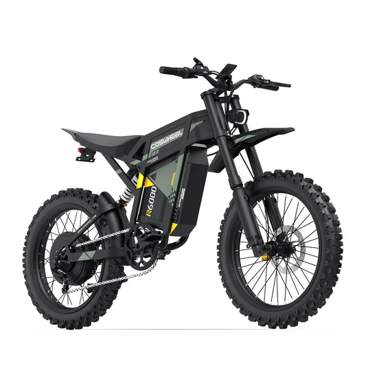 eBike Coswheel R6000