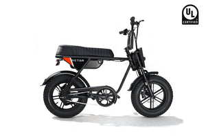 Black eBike Rictor Flexx packaged in a large box, product image for regular IoT and non-IoT models