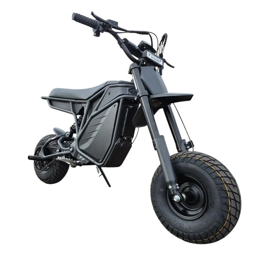 Electro & Co The Rizzler Sport