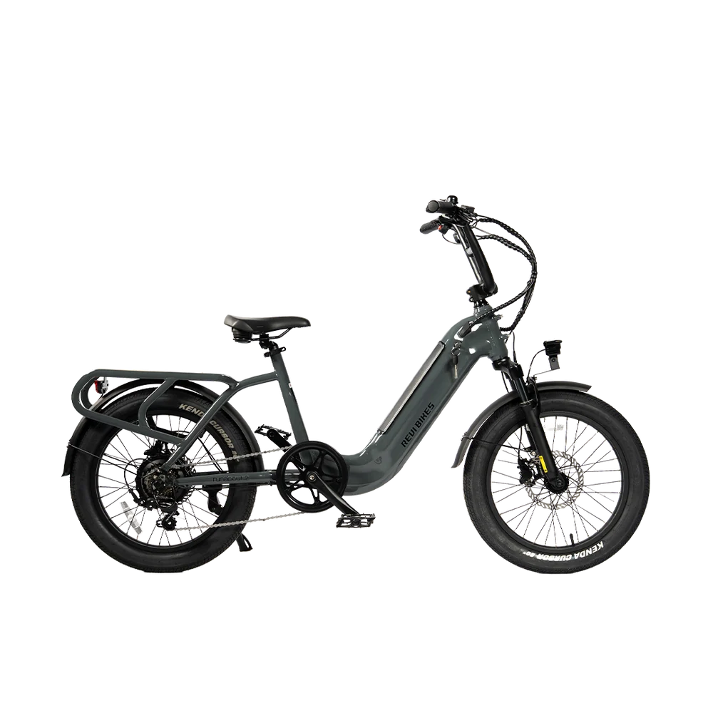 eBike Revi Runabout.2 - Antracit - Ready to Ride