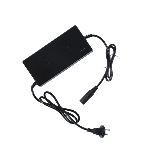 eBike Charger - Yozma IN 10 PRO Charger