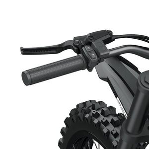Coswheel R19 electric bike in black, shown from a side angle with thick tires, front suspension, and a sturdy frame, displayed on a white background.