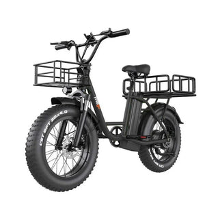 A white FREEGO FB-20X step-thru electric cargo eBike with a rear cargo rack, 750W motor, and commuter-friendly design, shown from a side angle.