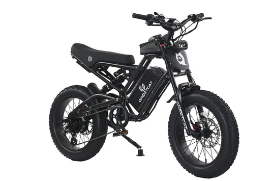 eBike Ghostcat F3 Class 2 - eBike - GHOST|3027 eBike Super Shop