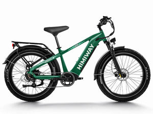 Green HIMIWAY Zebra 750W Step Over electric fat tire mountain bike, 26x4 tires, assembled in store, product image.