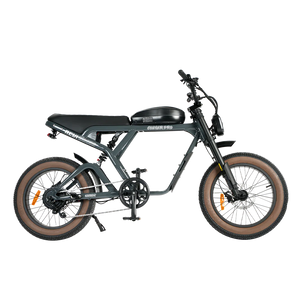 Electric bike, eBike Revi Cougar model in anthracite color, side view, isolated on white background