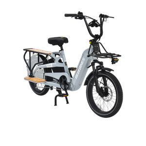 Gray eBike Revi Flux electric bicycle side view on white background