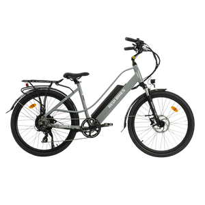 Gray eBike Revi Oasis.2 ST electric bicycle, side view, against a plain background