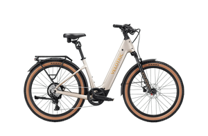 Platinum Silver Velotric Discover M eBike in regular large size, side view, against a white background