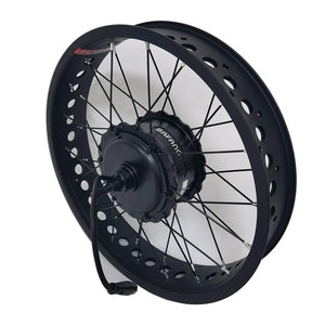 Coastal Cruiser 20x4 rear eBike wheel assembly with 52V 750W motor, product image 1