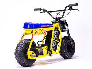 EBOX PEGS AND MOUNT BOLTS - High - Strength Peg/Mount Bolts - Parts - EBIKE|1276 eBike Super Shop