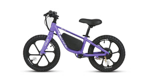 EKIDS16 1.0 - Electric Bicycle - EKIDS-16-BK eBike Super Shop