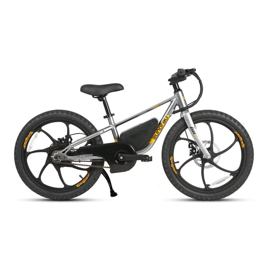 EKIDS20 1.0 - Electric Bicycle - EKIDS-20-GR eBike Super Shop