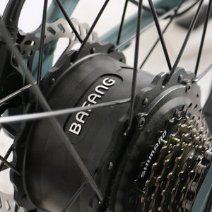 Fat Tire Step Thru 26x4 - 52v Beach Cruiser Electric Bike - Cruiser - 210000000771 eBike Super Shop