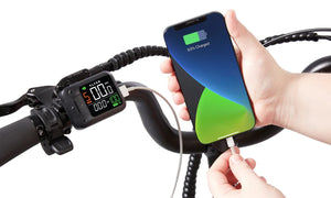 FLYER Via 500w Step Thru eBike 24x2.4 Street Electric Cargo eBike - Cargo eBike - eBike Super Shop