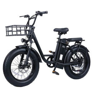FREEGO Electric Cargo eBike FB - 20X Step - thru - Step Thru 750 w Electric Communter eBike - Cargo eBike - FREEG|1829 eBike Super Shop