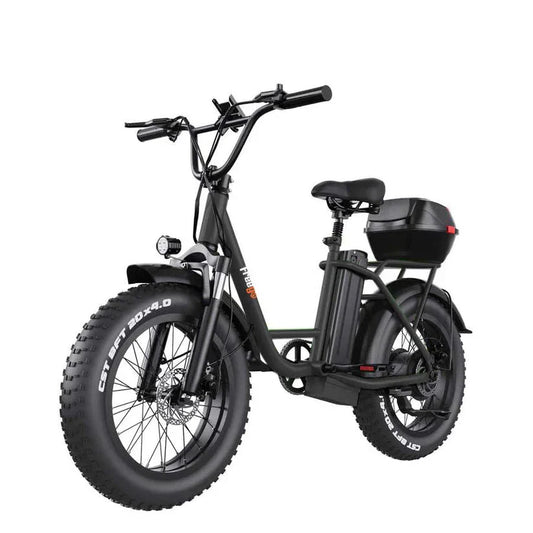 FREEGO Electric Cargo eBike FB - 20X Step - thru - Step Thru 750 w Electric Communter eBike - Cargo eBike - FREEG|1829 eBike Super Shop