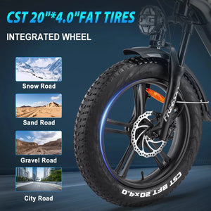 FREESKY Rocky 750 w Step Thru Ebike 20x4 Fat Electric Cargo eBike - Cargo eBike - eBike Super Shop