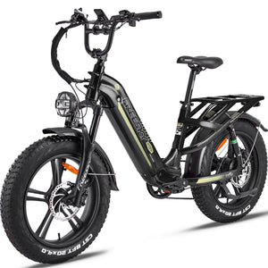 FREESKY Rocky 750 w Step Thru Ebike 20x4 Fat Electric Cargo eBike - Cargo eBike - FREES|CARGO|BLACK|0568 eBike Super Shop