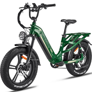 FREESKY Rocky 750 w Step Thru Ebike 20x4 Fat Electric Cargo eBike - Cargo eBike - FREES|CARGO|GREEN|0569 eBike Super Shop