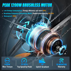 FREESKY Rocky 750 w Step Thru Ebike 20x4 Fat Electric Cargo eBike - Cargo eBike - FREES|CARGO|RED|0570 eBike Super Shop