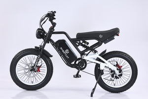 GHOSTCAT F3.2 1500W - Dirt - GHOST|F3.2 1500W|20 ah|Black eBike Super Shop
