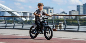 HIMIWAY C1 Kids E - Bike 350 w Step Over Ebike 16x3 Fat Electric Mini Fat Tire eBike - Moto Style - eBike Super Shop