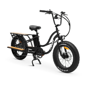 MURF Higgs Cargo Fat Tire Electric Cargo Beach Cruiser eBike - 52v 750 w Electric Cargo eBike - Cargo eBike - MURF|BLACK|2302 eBike Super Shop